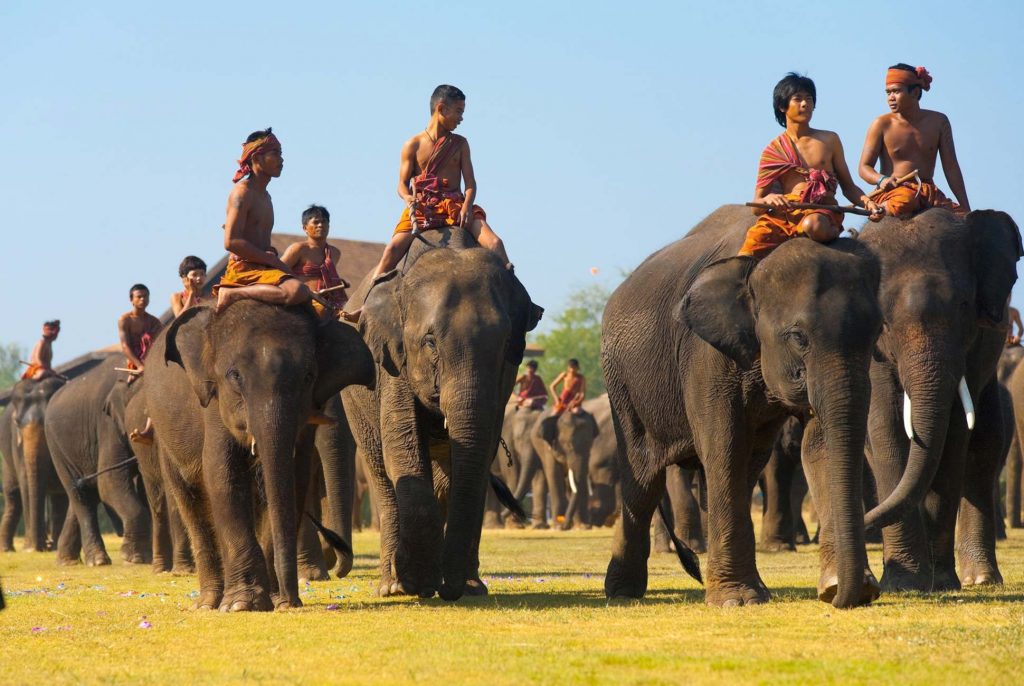 May: Surin Elephant Festival