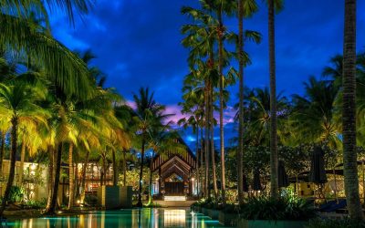 Twinpalms1940x1300 Twinpalms1940x1300