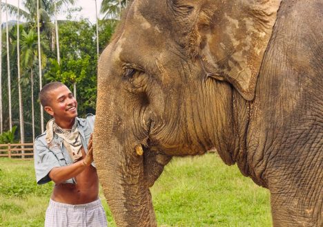 Spending time with Thailand's elephants
