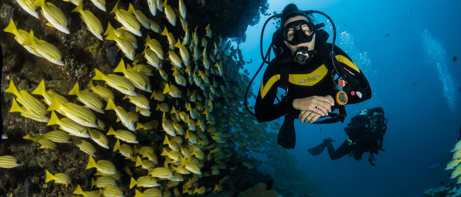 Scuba diving in Thailand