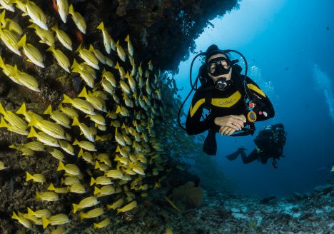 Scuba diving in Thailand