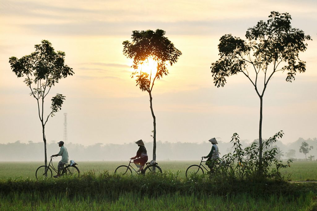Cycling in Thailand