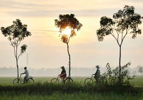 Cycling in Thailand