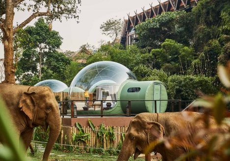 Anantara Golden Triangle Elephant Camp & Resort, Chiang Rai, Thailand