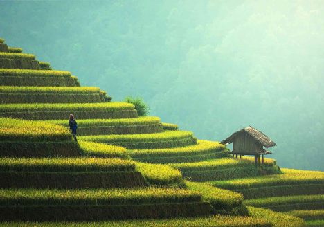 Rice terraces outside a quaint village in northern Thailand