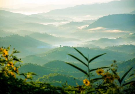 A natural landscape, preserved by eco-tourism in Thailand