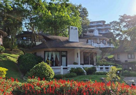 Quaint Swiss-style lodges surrounded by plants.