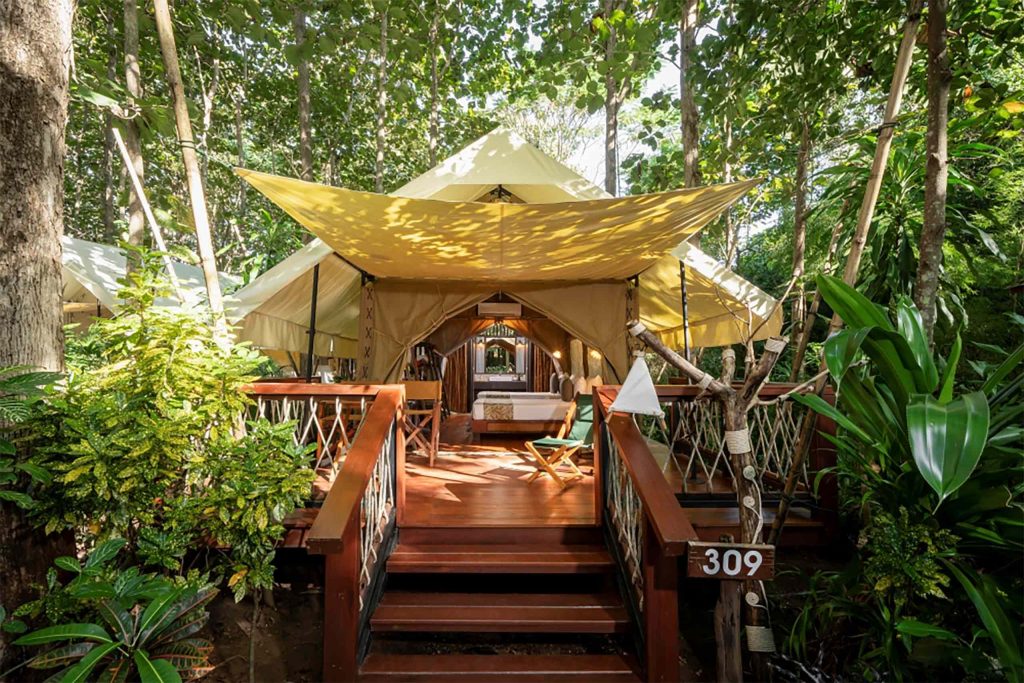 A tented camp surrounded by forest.
