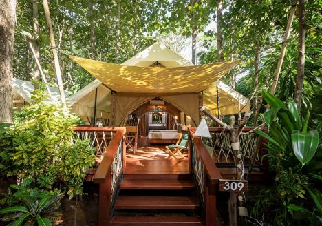 A tented camp surrounded by forest.