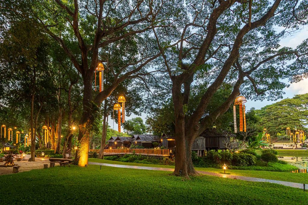 The grounds of a resort with tall trees and lantern light.