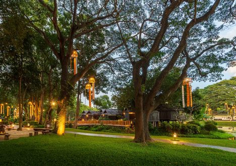 The grounds of a resort with tall trees and lantern light.